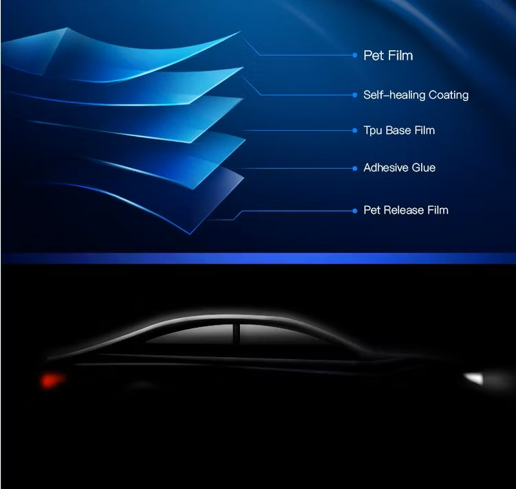 Decowell Car Paint Protection Film: Transparent Paint protection Film & Black Paint Protection Film & Matte Paint Protective Film