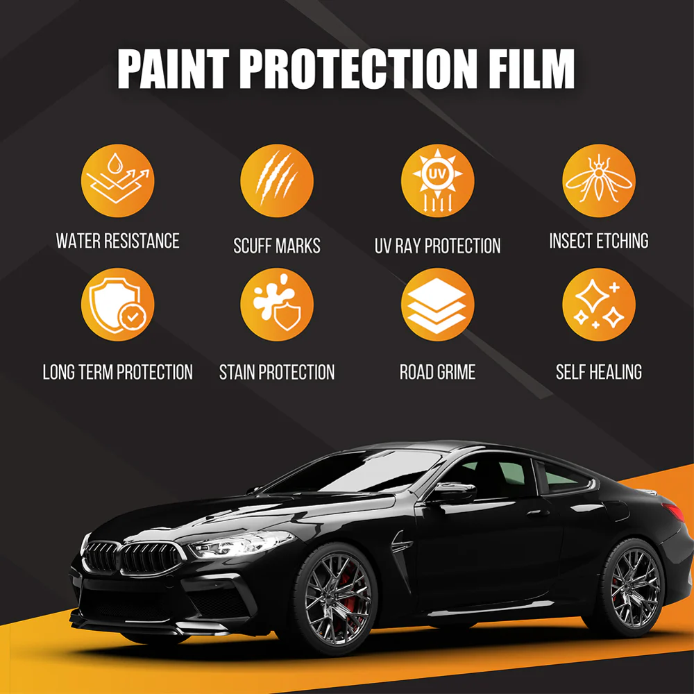 Paint Protection Film (What It Is, Why You Need It, and How to Choose the Best One)