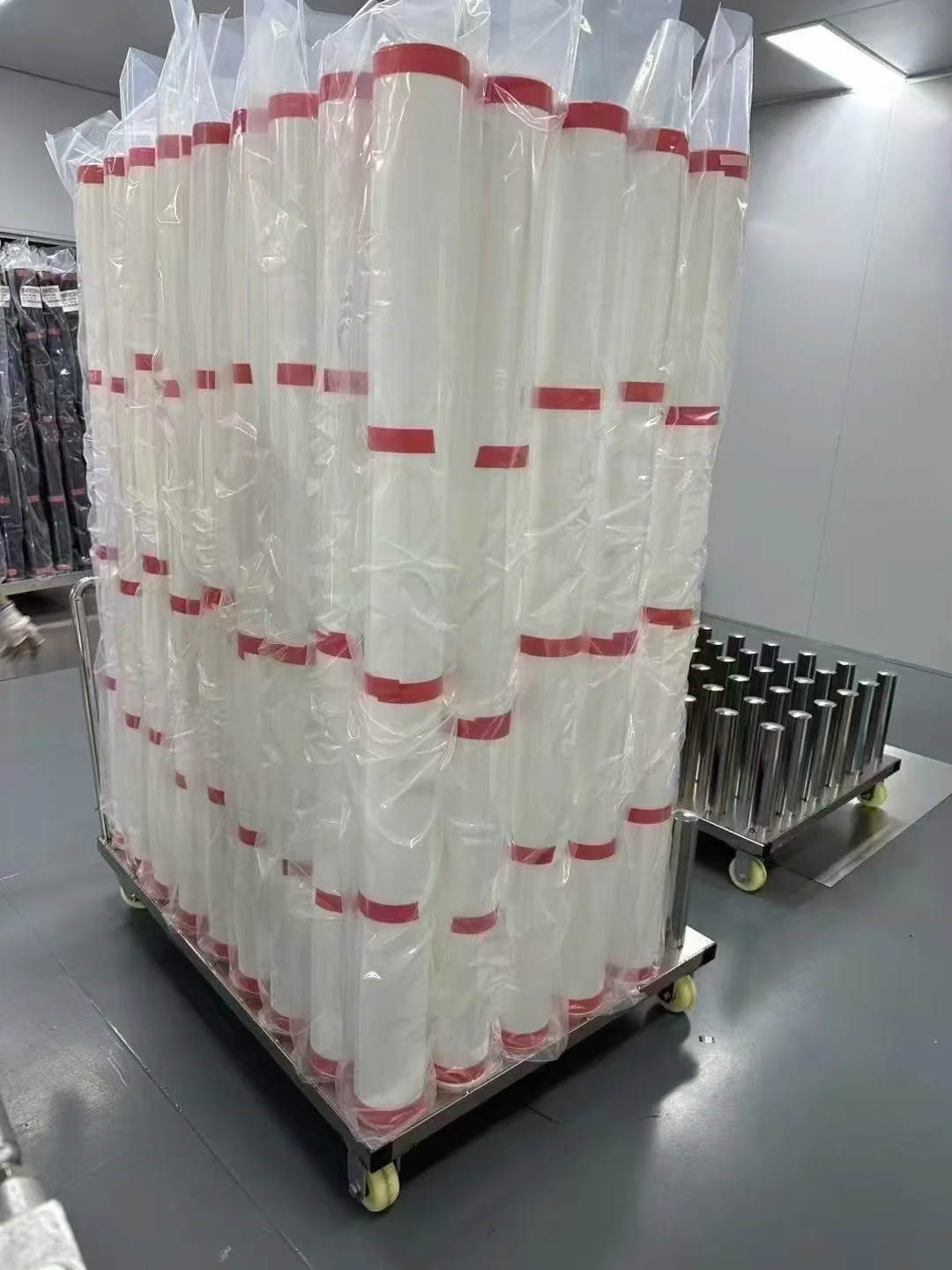 PPF Plastic Protection: Soft Black Trim, B-Pillars, and High-Traffic Areas